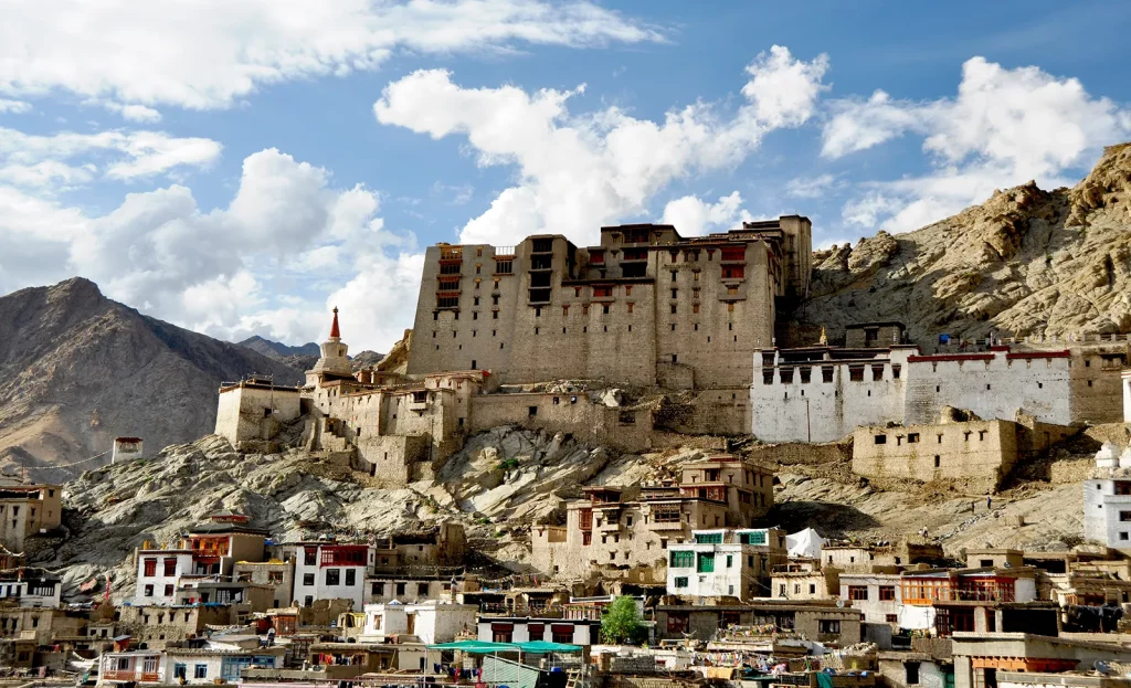 Ladakh Panorama